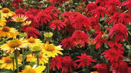 Les jardins gourmands bannière