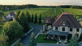 Vignoble rivière du chêne bannière