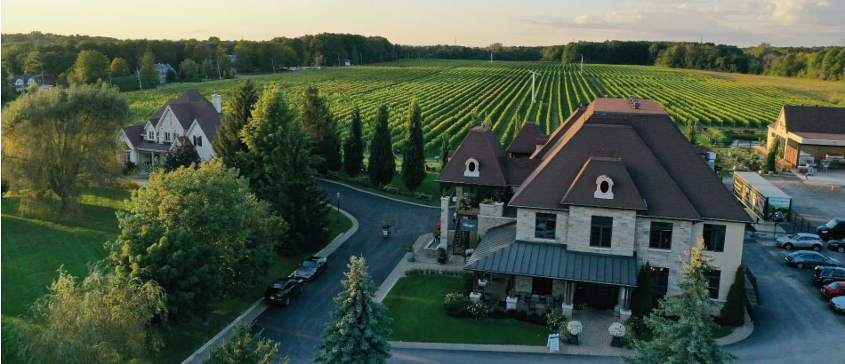 Vignoble rivière du chêne bannière