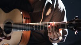 la zone musicale zedem bannière